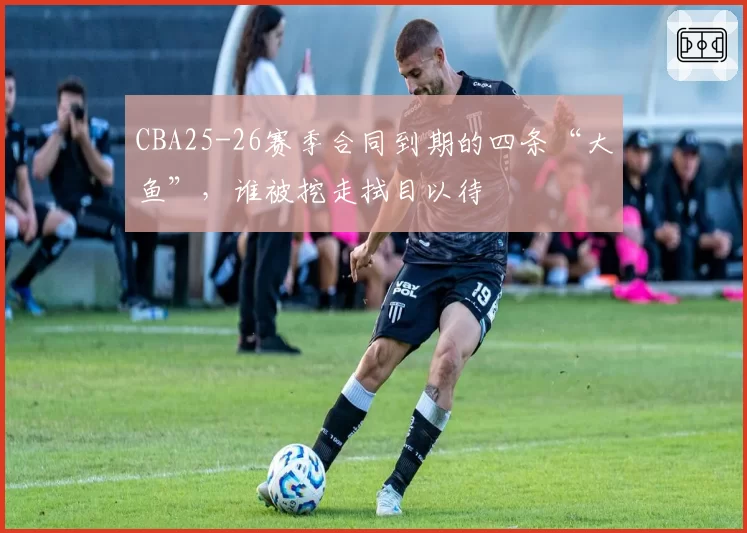 CBA25-26赛季合同到期的四条“大鱼”,谁被挖走拭目以待
