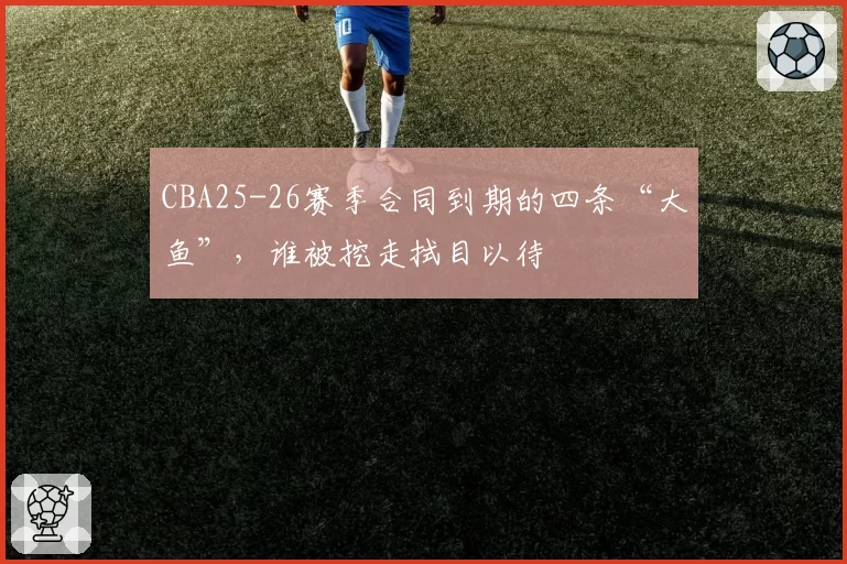 CBA25-26赛季合同到期的四条“大鱼”,谁被挖走拭目以待