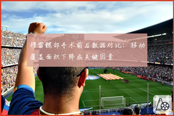 穆雷髋部手术前后数据对比：移动覆盖面积下降成关键因素