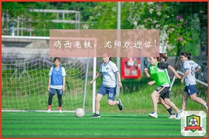 鸡西老铁，沈阳欢迎你！