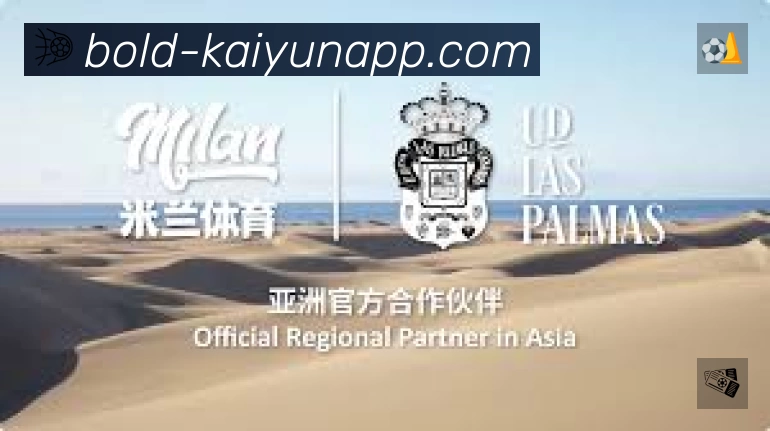 安全使用与支持流程